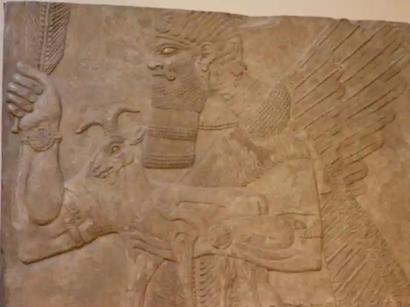 Solar disc on the wrist of the protective spirit